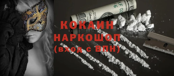 дживик Алексин