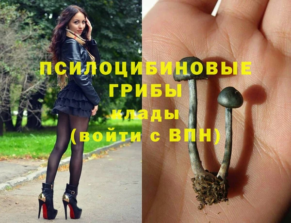 дживик Алексин