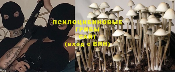 дживик Алексин