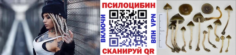 Галлюциногенные грибы Psilocybine cubensis  omg ссылка  Бахчисарай 