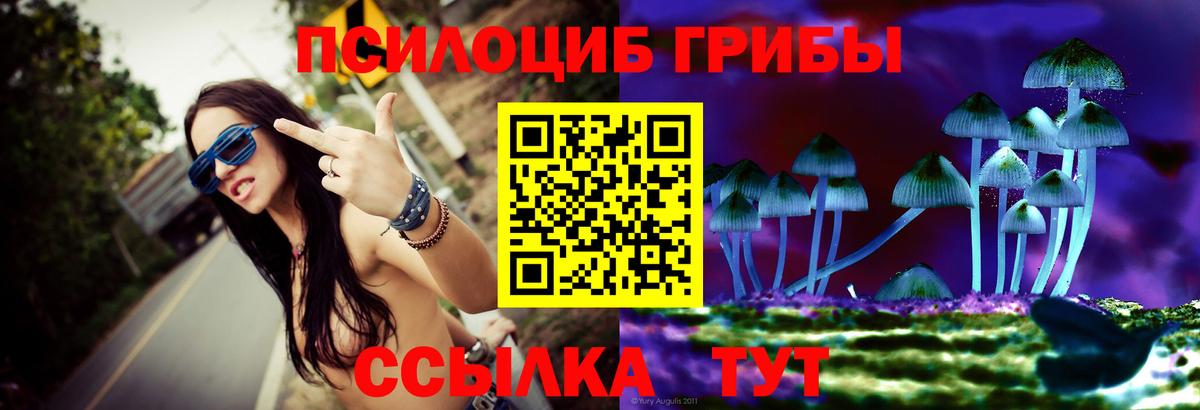 Галлюциногенные грибы MAGIC MUSHROOMS Бахчисарай